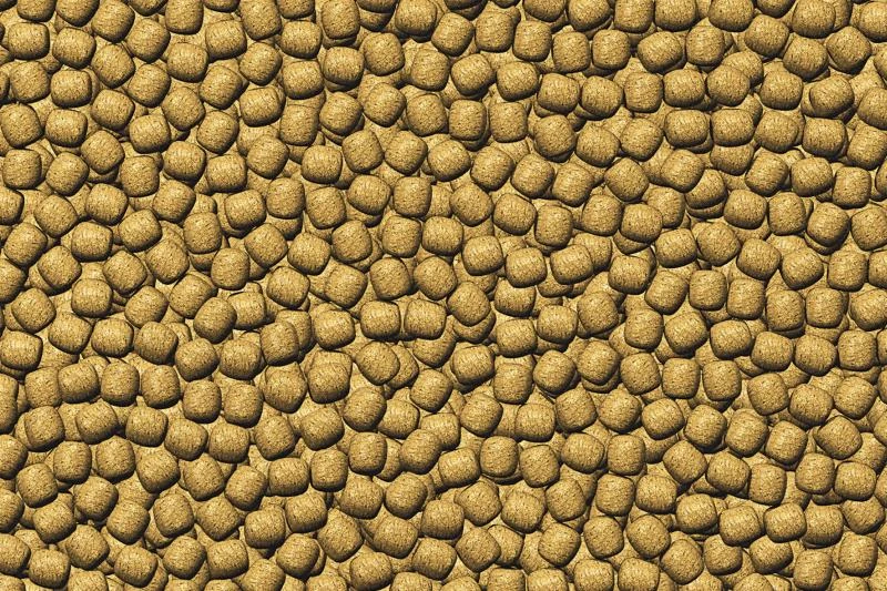 JBL ProPond Winter M 1,8 Kg 2 JBL ProPond Winter M 1,8 Kg – Bild 2