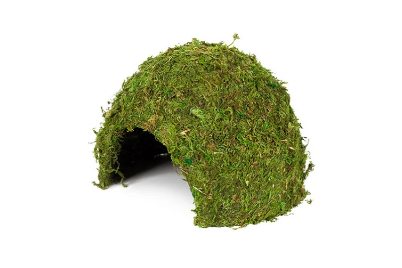 Hobby Jungle Cave 3 1 Hobby Jungle Cave 3