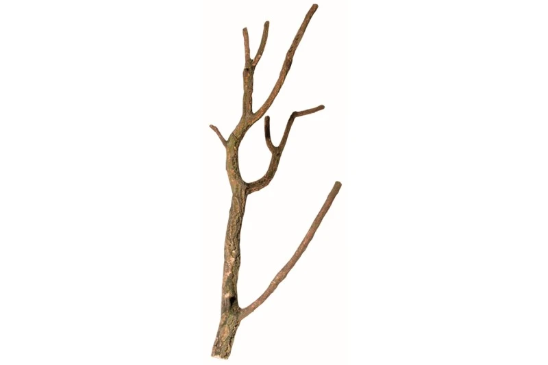 Hobby Korktronchos L, Ca. 75-100 Cm 1 Hobby Korktronchos L, Ca. 75-100 Cm