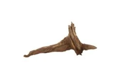 Hobby Pine Root L, Ca. 50-60 Cm -Sera Geschaft Hobby Pine Root 2