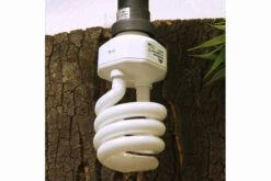 JBL ReptilJungle Daylight, ESL, 24 W -Sera Geschaft JBL Reptil Daylight 24W