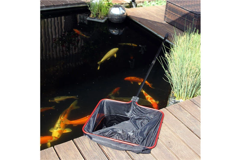 JBL Teichkescher M Fein 1 JBL Teichkescher M Fein