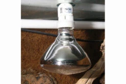 JBL UV-Spot Plus, Für Licht, Wärme, UV, 160W -Sera Geschaft JBL UV Spot plus 3 2