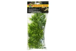 Zoomed Medium Madagascar Kunststoffpflanze