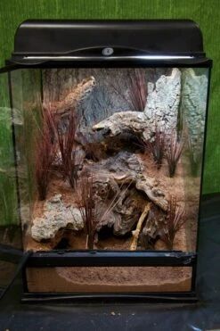 Zoomed Naturalistic Terrarium, 30x30x45cm -Sera Geschaft NT 4 Excavator 33498