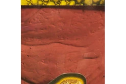 Zoomed Repticare Rock Heater Heizstein M 10W