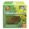 Zoomed Terrarium Moss L