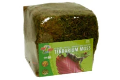 Zoomed Terrarium Moss Minibale