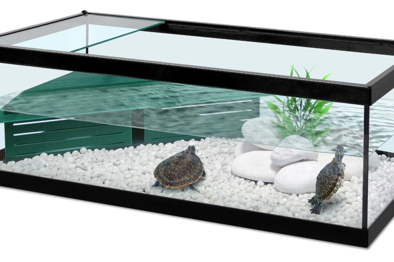 Aquatlantis Terrarium Tortum 75 Schwarz 1 Aquatlantis Terrarium Tortum 75 Schwarz