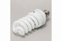 JBL ReptilJungle Daylight, ESL, 24 W