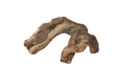 Hobby Weinrebenwurzel, Ca. 30 Cm -Sera Geschaft orinocodeco weinrebe groesse s 20 30 cm 2