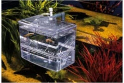 Papillon Breedy Hang-On S, 1 Stück -Sera Geschaft papillon 74p03188 breedy hang on groesse s 3