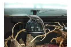 JBL TempProtect II Light M, Verbrennungsschutz 100mm -Sera Geschaft temp protect light 3 1