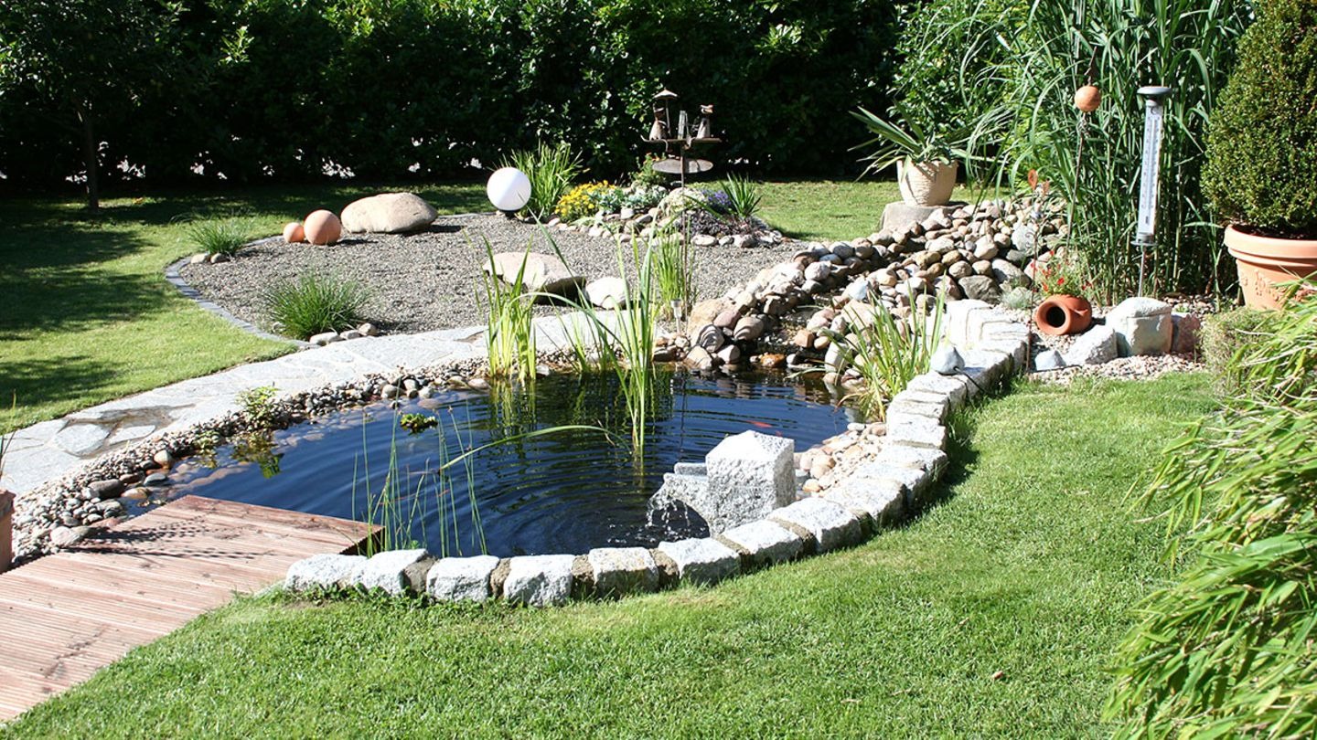 Sera Geschaft 2 Sera Geschaft -Sera Geschaft gartenteich adobestock 89334162